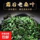 桑葉茶精選新鮮霜后桑葚葉子正宗桑樹(shù)葉顆粒搭配菊花茶泡水喝桑葉 桑葉茶250克