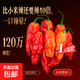 云南涮涮辣干辣椒變態(tài)辣魔鬼辣火鍋底料生鮮調(diào)料 魔鬼辣椒 500g 帶箱