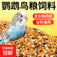鸚鵡飼料鳥糧中小型鸚鵡綜合營(yíng)養(yǎng)主糧虎皮小太陽玄鳳通用混合糧食 【小型鸚鵡】綜合營(yíng)養(yǎng)糧800克