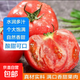 新鮮沙瓤大番茄生吃西紅柿減肥早餐即食新鮮蔬菜生鮮單果＞100g 家庭裝 4斤 帶箱