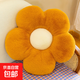 ins風(fēng)太陽(yáng)花抱枕沙發(fā)客廳白色花朵飄窗靠墊花瓣靠背現代輕奢床頭 棕色 35厘米特惠版