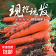 山東農家自種新鮮胡蘿卜帶泥現挖蔬菜水果可生吃即食甜脆濰坊直發(fā) 精品胡蘿卜9斤 含箱