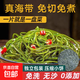 有機小海帶嫩芽海帶絲鮮嫩干凈無(wú)沙老少皆宜鹽漬霞浦特產(chǎn)火鍋食材 16g壓縮海帶絲【10包】更劃算
