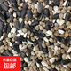 鸚鵡鳥(niǎo)食中大型混合糧瓜子麻子紅花籽三合一帶殼飼料太陽(yáng)和尚鳥(niǎo)糧 2500g（編織袋包裝）