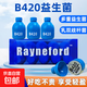 Rayneford小藍(lán)瓶B420益生菌即食瘦子菌益生元體重管理官方正品 五盒（共50瓶）