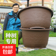 特大號塑料花盆家用戶(hù)外庭院綠植果樹(shù)盆栽鐵樹(shù)花盆加厚養荷花盆缸 紫砂色60#(外徑60cm) 底部有孔(種植盆)