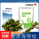 霞浦鹽漬海帶結(jié) 海帶扣海白菜 麻辣燙火鍋燒烤 2500g五斤裝【精選出口品質(zhì)】