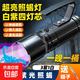 蝎子燈2025新款可充電大功率型紫光手提燈抓蝎子專用燈強光手電筒 大功率照蝎【三紫一白光】