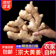 【精品】山東大黃姜水洗不帶土凈姜山東大姜生姜干姜新鮮蔬菜佐料 5斤