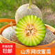 山東網(wǎng)紋蜜瓜 玫瓏冰淇淋蜜瓜當季新鮮水果整箱 網(wǎng)紋蜜瓜凈重3.5-4斤2-3個