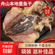 胖子淡曬墨魚干貨袋裝非特級淡干目魚干木魚海鮮寧波特產(chǎn)烏賊煲湯 墨魚干9-14個【共500克】
