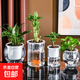 花盆綠植盆栽水培瓶透明塑料花瓶容器綠蘿花盆魚(yú)花共養缸水養擺件 水培盆-圓柱大號 【送定植籃+吸水棉繩】