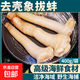 去殼新鮮象拔蚌刺身鮮活冷凍即食切片冰鎮(zhèn)象鼻蚌仔象牙蚌海鮮水產(chǎn) 1袋象拔蚌肉 400g(凈重)  【去殼】