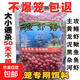 抓黃鱔龍蝦泥鰍河蝦捕蝦藥蝦籠專用誘餌鱔魚(yú)小藥餌料傘籠萬(wàn)能魚(yú)餌 蝦籠網(wǎng)籠專用【超大包】送10餌球