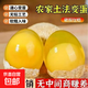 雞蛋變蛋農家散養雞糖心變蛋河南特產(chǎn)無(wú)鉛工藝整箱手工制40g/枚 40g 6枚