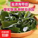 鹽漬海帶結(jié)新鮮無沙商用非干貨特厚海帶扣火鍋食材涼拌關(guān)東煮少鹽 【沖量秒殺】鹽漬海帶結(jié)1500*1袋