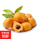 鮮果云南蒙自甜枇杷現(xiàn)摘現(xiàn)發(fā) 大果每個(gè)約 20g 3.7斤