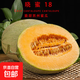 曉蜜18號(hào)新鮮爆甜哈密瓜現(xiàn)摘高質(zhì)量哈密瓜產(chǎn)地包郵 凈重:5斤