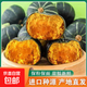 正宗惠和一號(hào)貝貝南瓜爆粉寶寶輔食粗糧新鮮蔬菜生鮮 惠和貝貝南瓜 300g