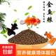 【已售5萬(wàn)】魚(yú)糧錦鯉飼料金魚(yú)觀(guān)賞魚(yú)糧螺旋藻增色育成小顆粒食物 1包魚(yú)糧5g-6g【拉新專(zhuān)享】