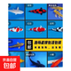 錦鯉魚活體觀賞魚活魚小型易養(yǎng)冷水淡水魚小魚苗錦鯉金魚好看錦鯉 10-12cm 五彩錦鯉混搭5條