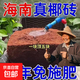 椰糠磚椰磚椰土磚園藝工具營(yíng)養土通用種菜養花土壤花卉綠植脫鹽 進(jìn)口椰磚400g【3塊】