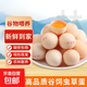 喜蛋哥蟲草蛋吃蟲子草新鮮雞蛋農(nóng)家散養(yǎng)谷物雞蛋營養(yǎng)溏心蛋生鮮買菜早餐 30枚蟲草蛋