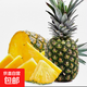 云南黑鉆鳳梨黑鳳梨新鮮水果手撕鳳梨非菠蘿當(dāng)季產(chǎn)地直發(fā) 1粒裝 單果1.3斤起