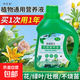 營養(yǎng)液植物通用型花肥發(fā)財樹富貴竹綠蘿水培盆栽家用花卉養(yǎng)花肥料 【通用型】500毫升一瓶