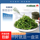 壓縮海帶絲 霞浦海帶干貨 高泡發(fā)火鍋菜涼拌 22g*10片（無鹽高泡發(fā)）