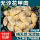 新鮮蛤蜊肉冷凍大花甲鮮活花蛤花甲肉黃蜆子肉海鮮水產(chǎn)非干貨即食 無沙花甲肉 500g(凈重)  【1袋裝】