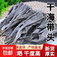 精選海帶頭干貨特厚海帶根風干厚實軟糯煲湯短款干海帶頭 日曬短款海帶頭500g*1袋