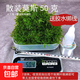 水草套餐三角莫斯淡水松茸火焰垂淚莫斯前景草沉木魚缸水族箱造景 散裝莫斯50g 送膠水綁線