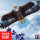 老鷹風(fēng)箏大人專(zhuān)用兒童微風(fēng)易飛網(wǎng)紅濰坊成人大型新款卡通高檔風(fēng)箏 2米藍平老鷹+自鎖輪700米加粗線(xiàn)