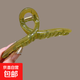 韓式亞克力盤(pán)發(fā)抓夾女夏季大號氣質(zhì)鯊魚(yú)夾后腦勺發(fā)卡夾子頭飾發(fā)夾 1件套：綠色