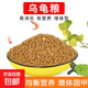 【京東物流】寵物龜糧巴西烏龜糧 彩色龜糧小顆粒飼料補充食物 10包龜糧