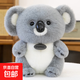 仿真考拉樹(shù)袋熊毛絨玩具公仔單肩玩偶公仔包樹(shù)懶治愈系動(dòng)物六一禮 考拉公仔-30cm 【新款上市 正版授權】