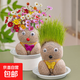 草頭娃娃頭上長(zhǎng)草人小盆栽種植澆水長(zhǎng)頭發(fā)兒童種草幼兒園網(wǎng)紅開花 長(zhǎng)草娃1個(gè)+開花娃1個(gè)+2托+1噴壺