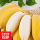 廣西蘋果蕉鮮維佳新鮮水果現(xiàn)摘香甜當(dāng)季整箱自然熟芭蕉粉蕉 凈重3斤