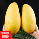 【新鮮當(dāng)季新鮮】金煌芒大青芒芒果 帶箱5斤【單果400g+】