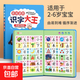 兒童識字大王3000字點(diǎn)讀機認字卡片早教發(fā)聲書(shū)幼兒園寶寶啟蒙禮物 識字大王300字【適用2-6歲】