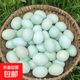 38g-40g農家林下散養雞蛋蟲(chóng)草生鮮綠殼土雞蛋孕婦健康蛋超市新鮮 孕婦健康初生土雞蛋60枚/箱