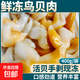 去殼鳥(niǎo)貝肉去內臟新鮮冷凍水產(chǎn)海鮮去沙鳥(niǎo)貝火鍋食材燒烤扇貝大號 1袋鳥(niǎo)貝肉400g【去殼】