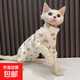 寵塔貝秋冬保暖貓咪防掉毛貓咪四腳衣貓 衣服 小熊四腳衣 M（建議6-9斤）