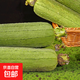 湖南青絲瓜新鮮蔬菜生鮮現摘肉絲瓜清甜可口湘菜必備 青絲瓜 4斤 帶箱