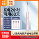【明星推薦】電動(dòng)牙刷磁懸浮成人充電 小米平替聲波全自動(dòng)智能防水軟毛精致奢華情侶款牙刷 標(biāo)準(zhǔn)版少女粉【4支杜邦刷頭】6檔模式