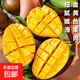 凱特芒新鮮現(xiàn)摘熱帶芒果 5斤帶箱300g+