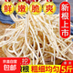 新鮮魚腥草折耳根農(nóng)家自種現(xiàn)挖豬鼻孔節(jié)兒根土特產(chǎn)蔬菜拌香菜即食 2斤 新鮮現(xiàn)挖