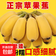 廣西蘋(píng)果蕉多喜啦香蕉青皮生蕉自然熟新鮮蘋(píng)果蕉粉蕉生鮮 凈重9斤