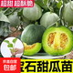 沐喏哩甜瓜秧苗綠寶甜寶爬藤蔬菜苗羊角蜜香瓜種苗四季盆栽陽臺(tái)瓜 綠寶石甜瓜苗5顆